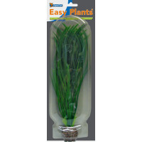 Easy Plants High NR4 Easy Plants High NR4